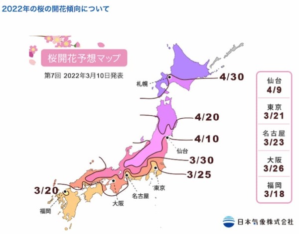 2022sakura